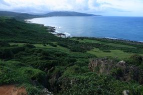 green coast of the Pacific Ocean