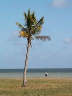 bait fishing, fisherman stands in water, usa, florida, everglades national park
