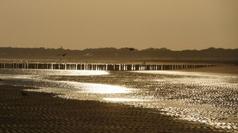 golden beach north sea sunrise