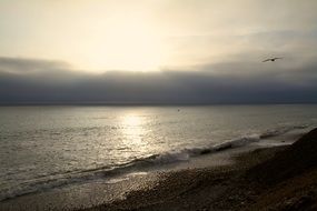photo of pacific ocean beach