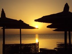 silhouettes of beach umbrellas against a sunset