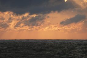 Sea horizon at sunset