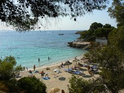view from behind the trees to the beach in Mallorca