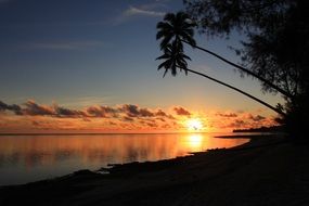 view of the sunset on the horizon beyond the palm trees with the clouds