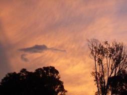pink heaven at sunset