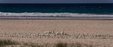 A lot of plastic bottles on a beach