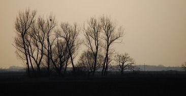 Landscape in the evening
