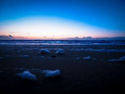 photo of the evening beach of the Baltic Sea