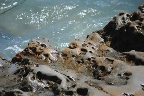 stones on the pacific coast close up