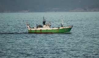 green boat on the water