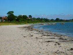 sandy beach on the north sea in denmark