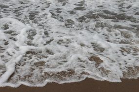 foamy coastal wave close-up