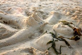 woman, sand sculpture on beach