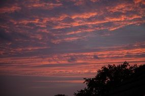 red evening sky in the clouds