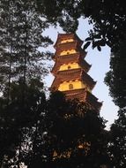 view through the trees to the golden tower