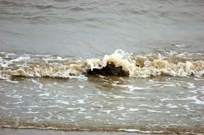 foamed water splash at north sea beach