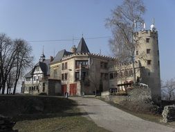 castle near trees in europe