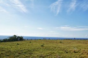 Green beach of the sea