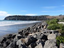 beach, new zealand