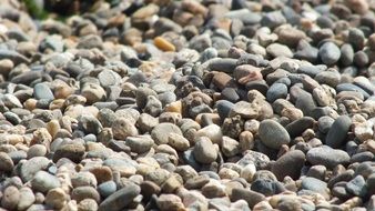 Pebbles on a beach in summer