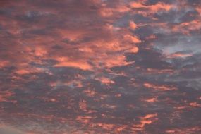 Beautiful red sunset in the clouds