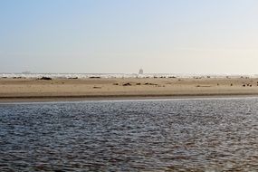 sandy beach at the lagoon