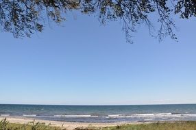 water near the beach with trees
