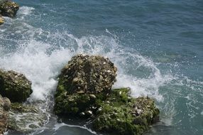 green coastal stones in the spray of the surf