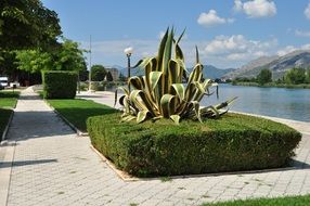 beautiful shore of the river Neretva