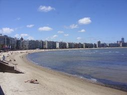 Beautiful coast in summer