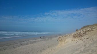 sandy beach in the fog