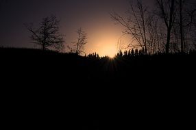 Silhouettes of trees at colorful and beautiful sunset background on horizon