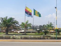 Flags in the park