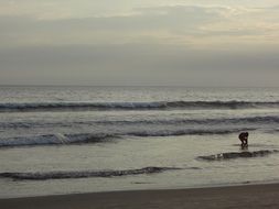 holidays on the beach