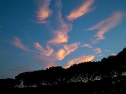 incredibly beautiful dusk