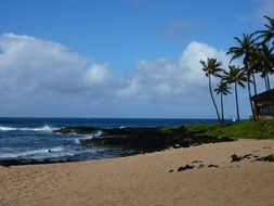 tropical coast of Kauai