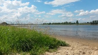green bank of the river Elbe