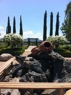 landscape design on a winery