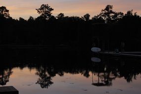 reflection of forest on a lake