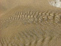 streams of water at high tide