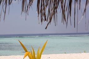 tropical sand beach at calm sea