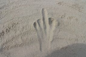 hand print on sand at the beach