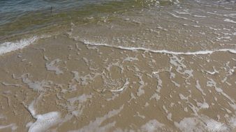 clear water of the North Sea