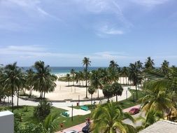 palm trees on beach in front of sea, usa, florida, miami