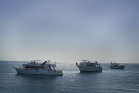 white boats in the sea in egypt on a sunny day