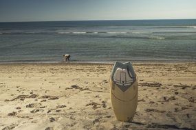 surfboard surfing on the sand on the coast