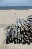 wooden posts with wire on the beach