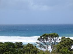 fantastic waves