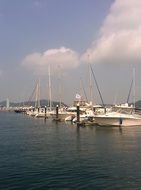 yachts stand in marina