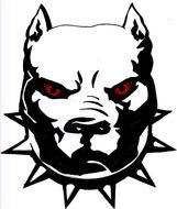 Pitbull Tattoos